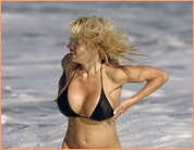 Pamela Anderson Nude Pictures