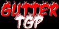 guttertgp.com