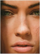 Megan Fox Nude Pictures