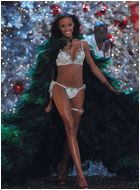 Selita Ebanks Nude Pictures