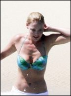 Katherine Heigl Nude Pictures