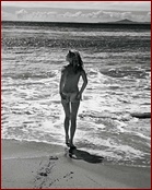 Kate Moss Nude Pictures