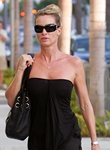 Nicollette Sheridan Nude Pictures