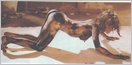 Farrah Fawcett Nude Pictures