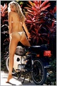 Estella Warren Nude Pictures
