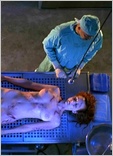 Angie Everhart Nude Pictures